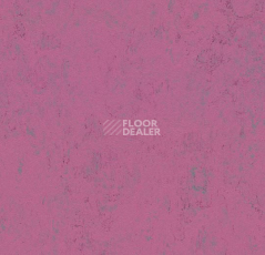 Линолеум Forbo Marmoleum Decibel on Order 374035 purple glow фото 1 | FLOORDEALER